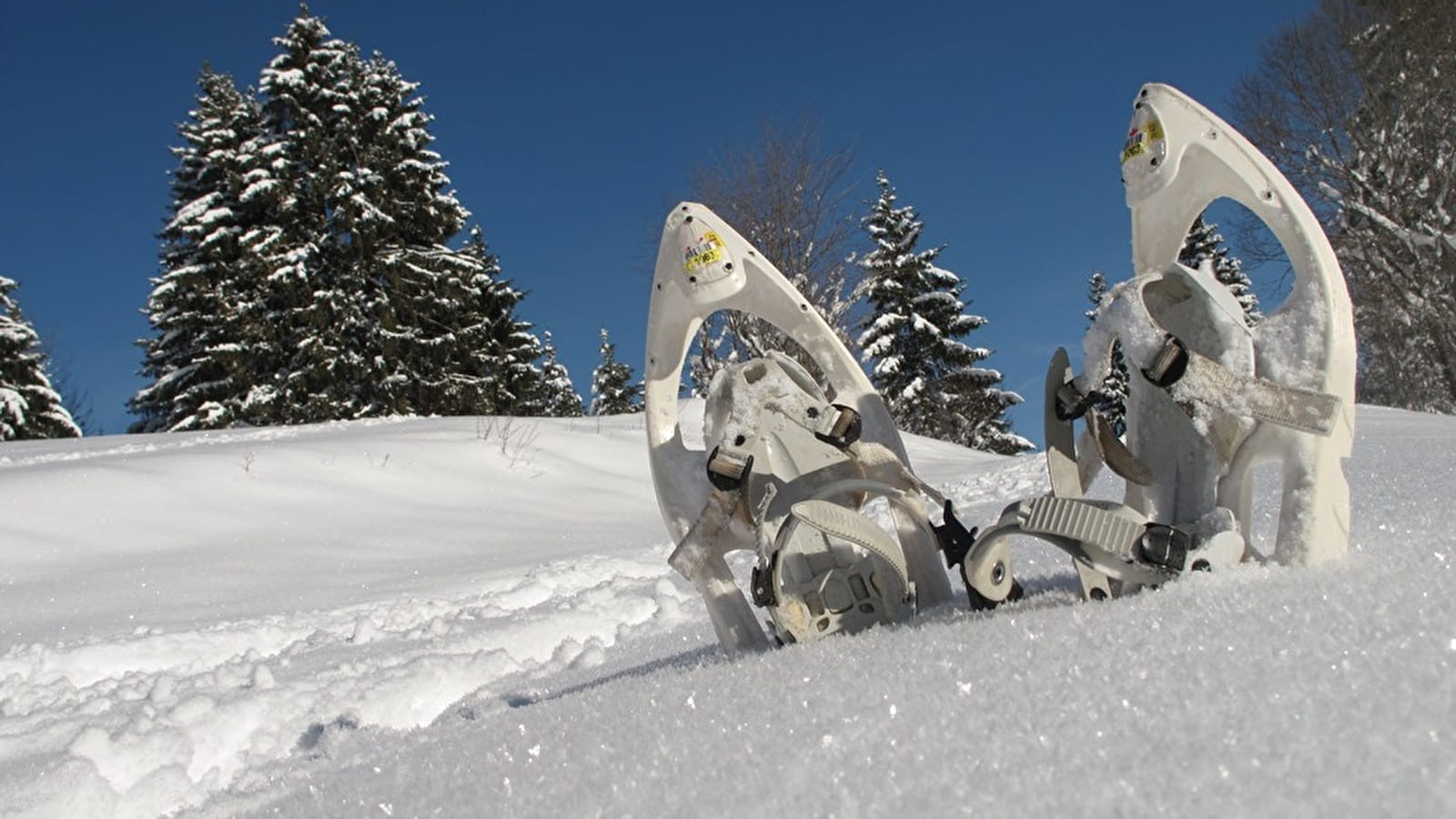 Circuits raquettes à Saint-Pierre