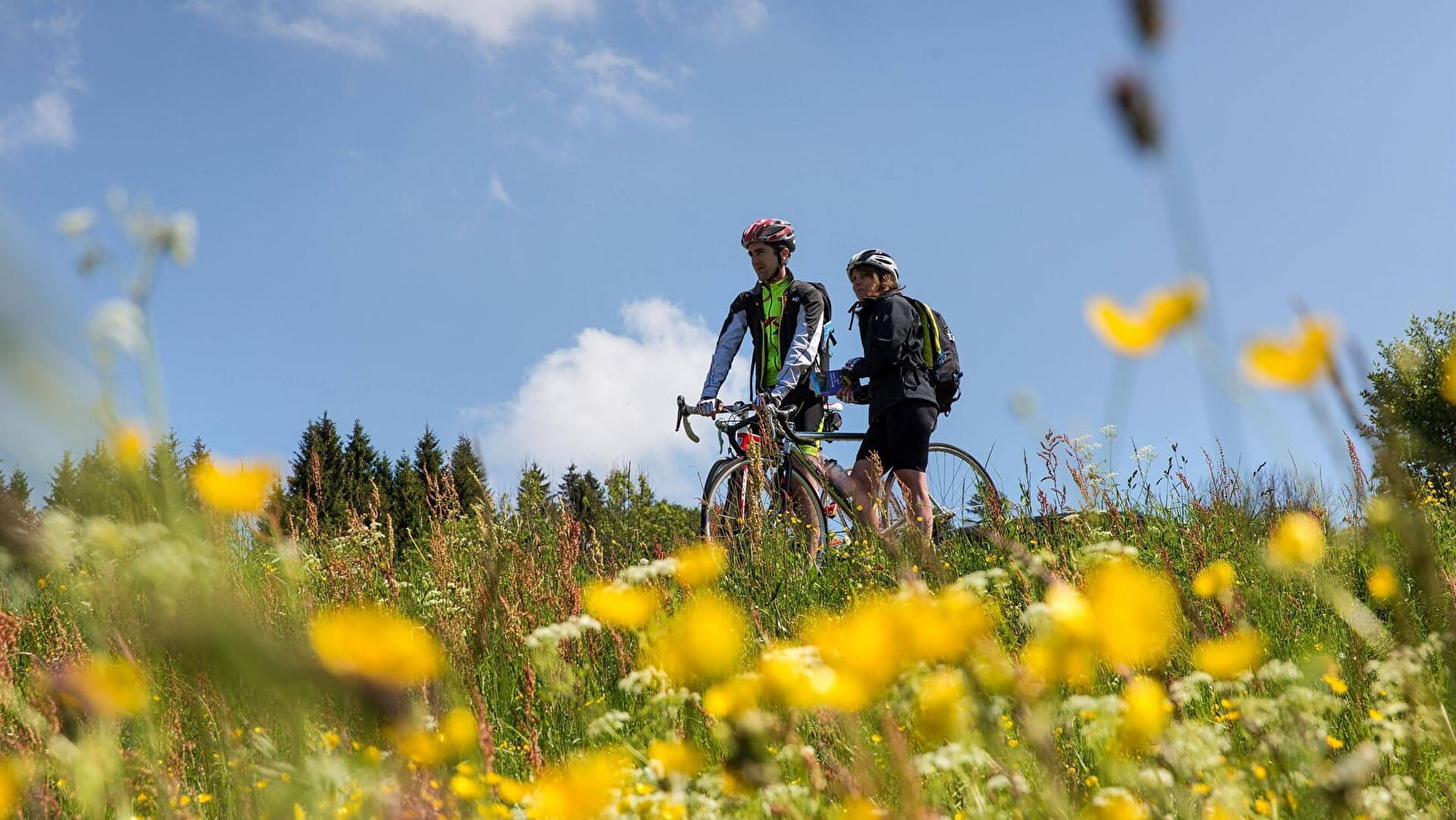 Parcours VTT 81 - bleu - les Druides - Espace FFC Ain Forestière