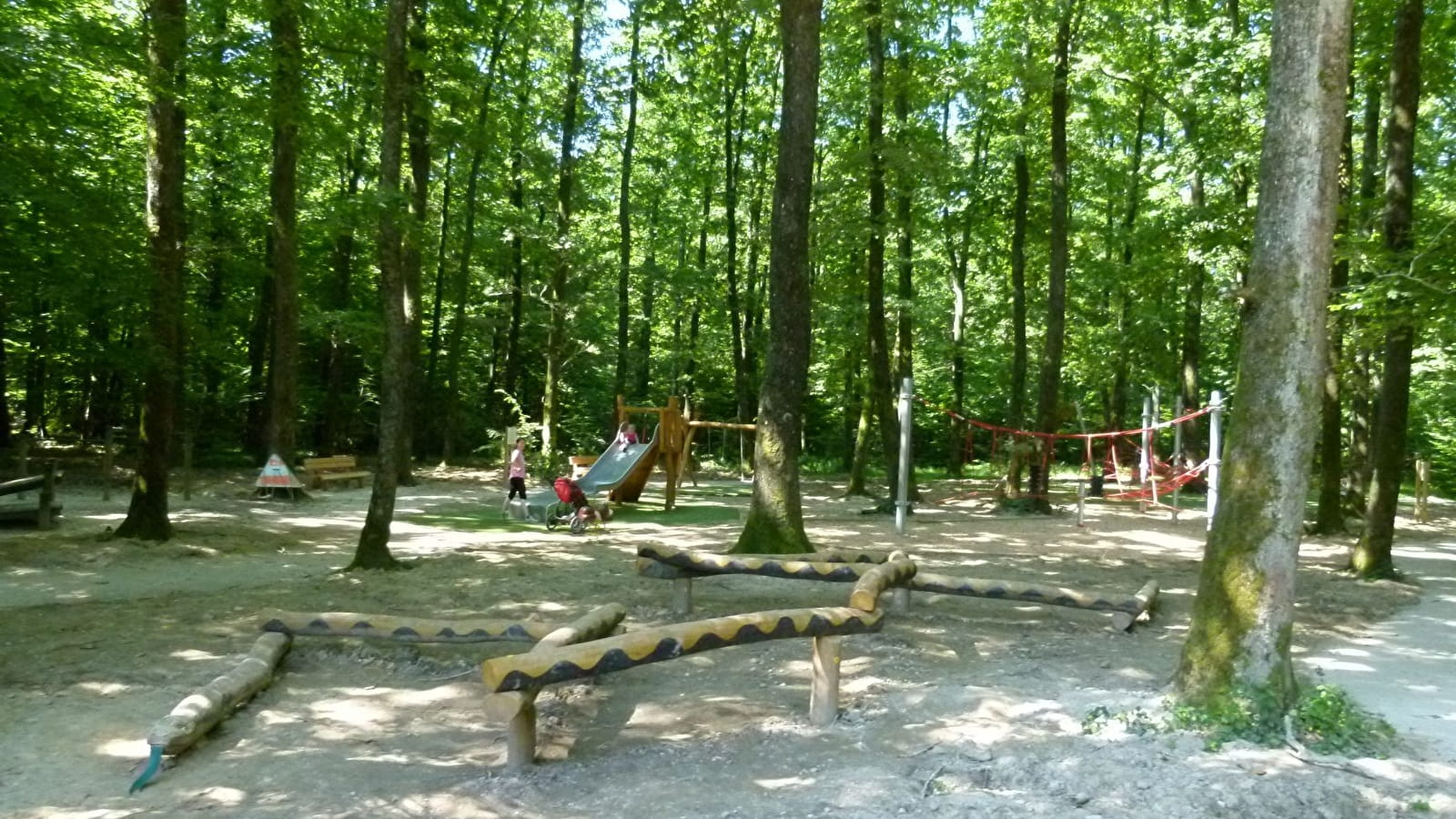 Balade et parcours d'activités en forêt de Seillon