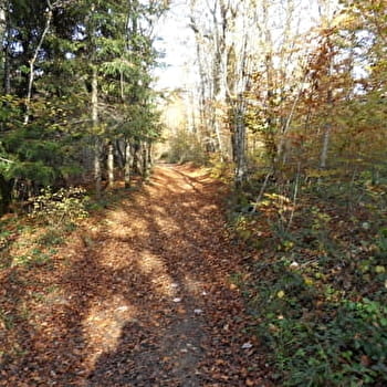 Le Pommeret - L'HOPITAL-DU-GROSBOIS