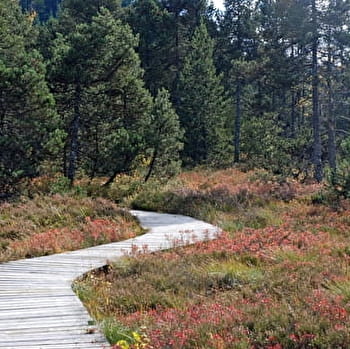 Lacs et tourbières du Grandvaux - NANCHEZ