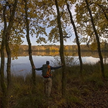 Le Sentier du Bois des Hauts - BELMONT