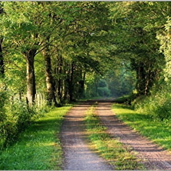 La Fontaine des Abîmes - COULANGERON