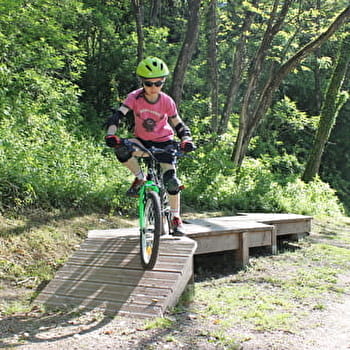 Parcours VTT 22 bleu - La Voie du Tram - Espace FFC Ain Forestière - VALSERHONE