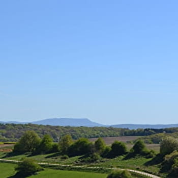 Bois Joly - LANTENNE-VERTIERE