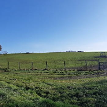Randonnée - Sur les chemins de St Sulpice et St Didier d'Aussiat - SAINT-DIDIER-D'AUSSIAT