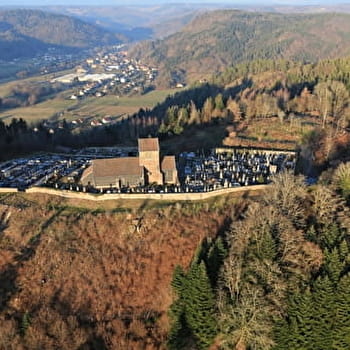 La Montagne Saint-Martin - FAUCOGNEY-ET-LA-MER