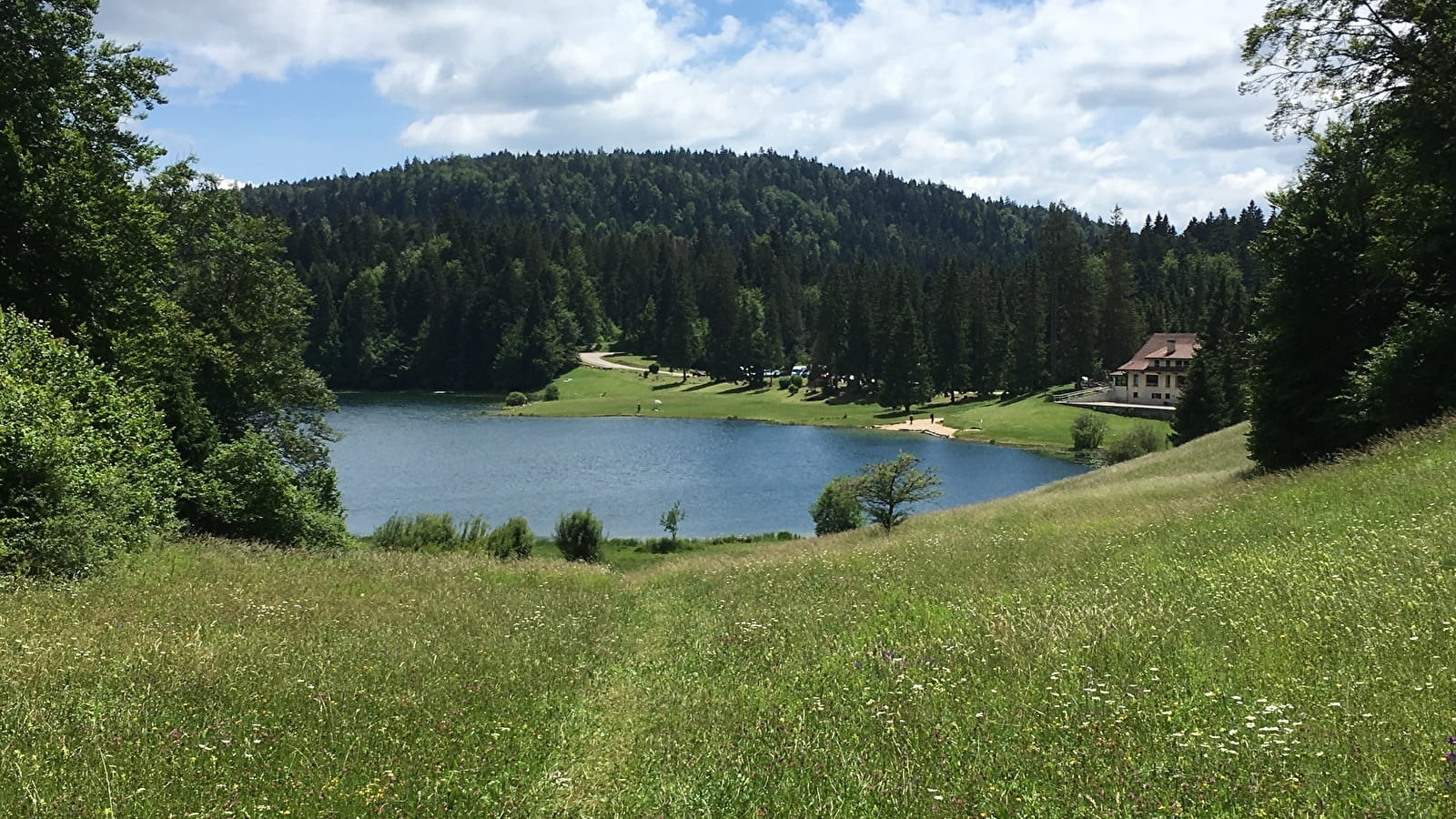 Parcours VTTAE 68 vert - Lac Genin et les bois de Puthod et des Millières - Espace FFC Ain Forestière