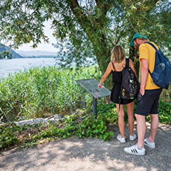 Circuit découverte de Nantua - NANTUA