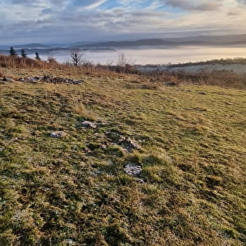 Randonnée - Le Moleron et la Reculée de ND de la Roche - COLIGNY