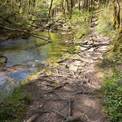Circuit des caves et des fours du Bugey Sud