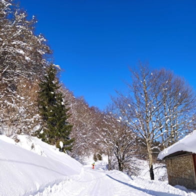 Piste multi-activités : le Niaizet