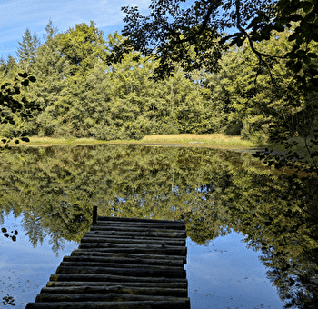 VTT n°4 - Le Cygle - MELISEY