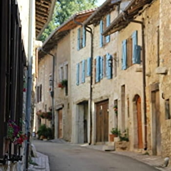 Treffort médiéval, une traversée d'histoire - VAL-REVERMONT