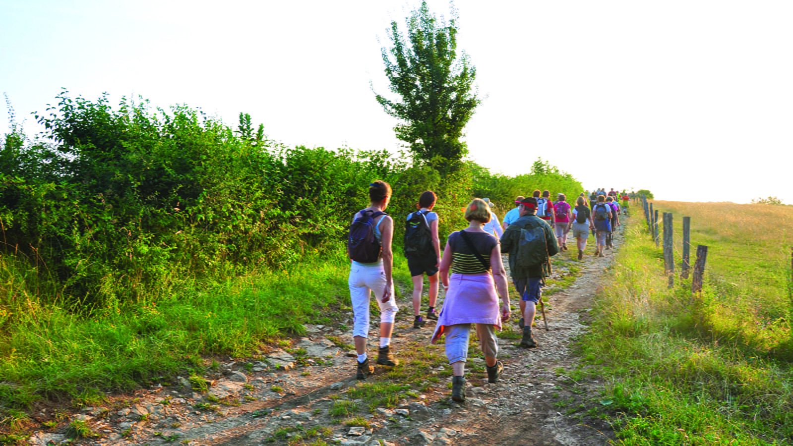 Le panoramique de la Vallée de la Saône
