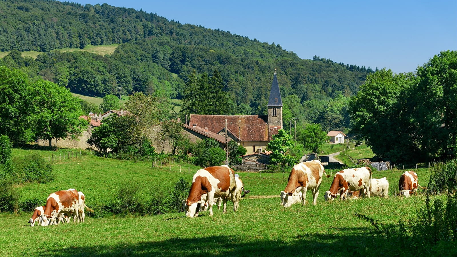 GR 9 de Saint-Amour à Mijoux