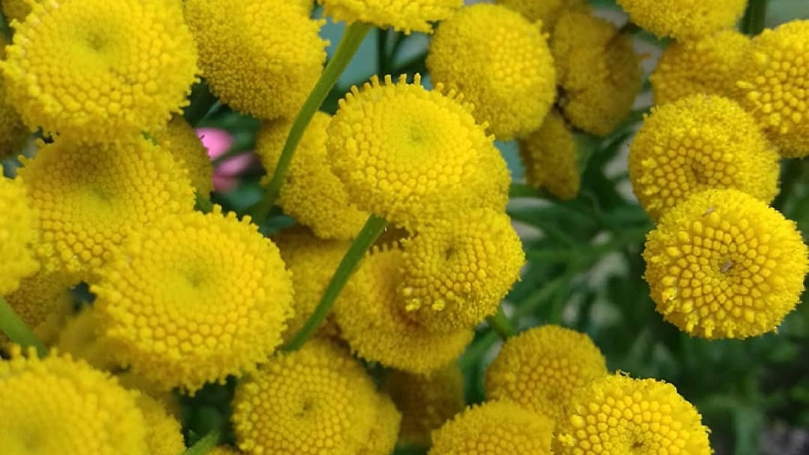 Photos nature pour accros