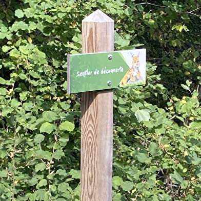 Randonnée pédestre : Le parcours du Lynx