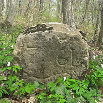 Bois Bourgeois - MONTBELIARD