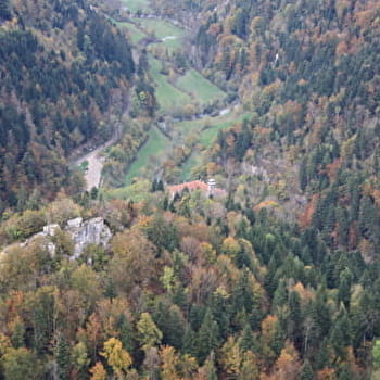 Consolation en automne - 