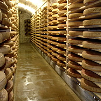 Le Fort Saint-Antoine - MALBUISSON