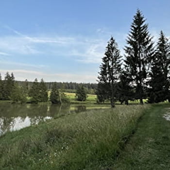 Allumer la Maîche - MAICHE
