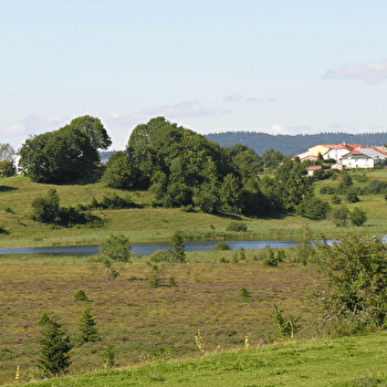 Circuit de découverte du lac des Rouges Truites - LAC-DES-ROUGES-TRUITES