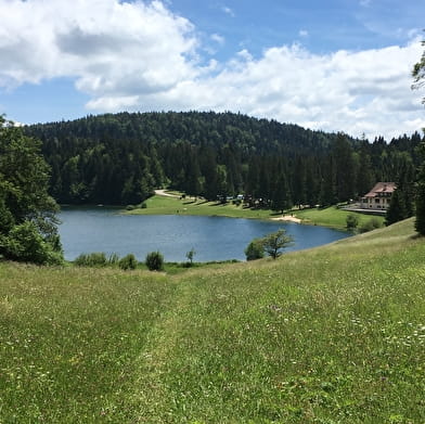 Parcours VTT 67 vert - Lac Genin et les hauts de Charix - Espace FFC Ain Forestière