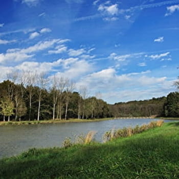 Mystérieuse Fougemagne - BEAUPONT