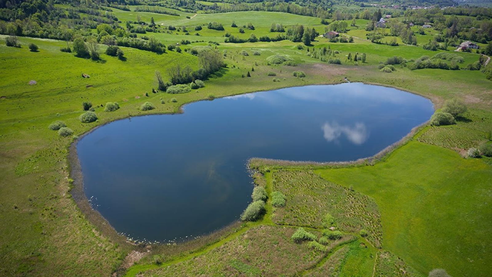 Eaux vives, Eaux dormantes / Langouette