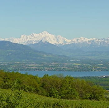 Randonnée : tour du Mont Mourex - DIVONNE-LES-BAINS