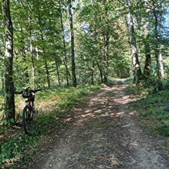 Circuit Gravel n°6 (rouge) Chemins des bois de Bresse - BRESSE VALLONS