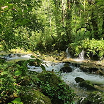 Sentier 'au fil de l'eau' (version longue) - CHALEY
