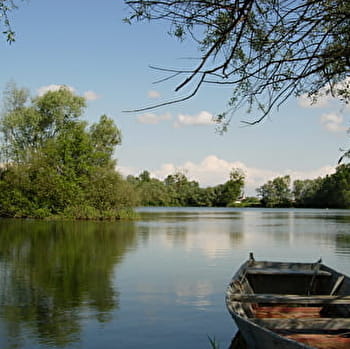 Circuit randonnée : Des bords de Saône - VESINES
