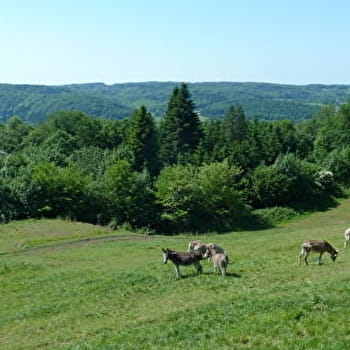 Le Pré d'Oro - AMAGE