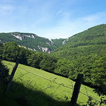 Circuit de la cascade de Luizet et tour du Tréfond (version intégrale) - SERRIERES-DE-BRIORD