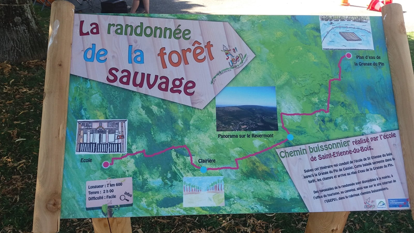 La randonnée de la forêt sauvage