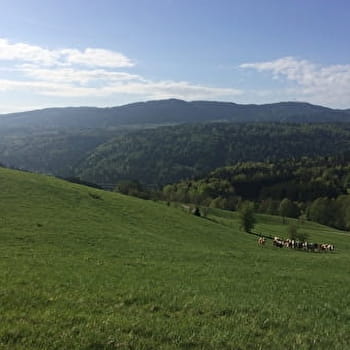 Le tour du plateau - Parcours de trail n°6 - NANTUA