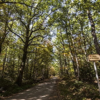 Virée campagnarde - MARCIGNY