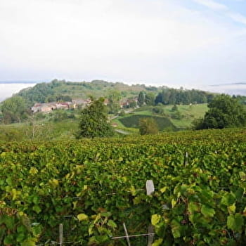 GAEC Philippe Balivet - MERIGNAT