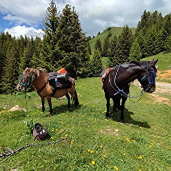 Circuit équestre des Montagnes du Haut-Jura - LELEX