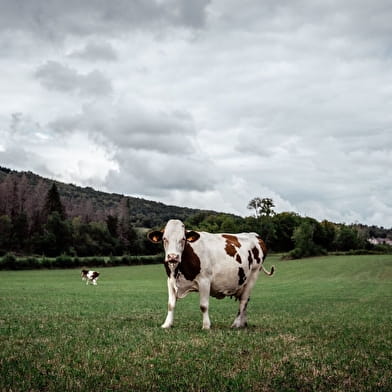 La Haute Vallée de la Valouse