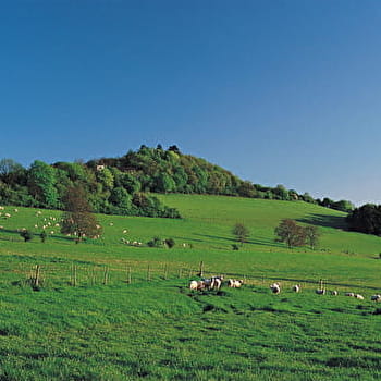 Montagne de Missery - MISSERY