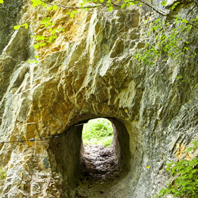 Le Dragon Sous-Roche