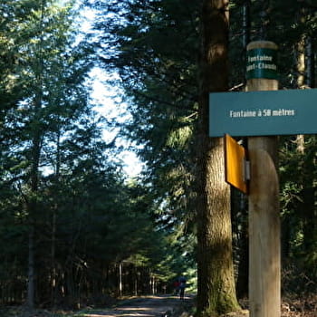 Circuit de la Barbarandière - COLOMBIER-EN-BRIONNAIS