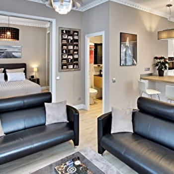 Meublé Maison François 1er - T2 - LUXEUIL-LES-BAINS