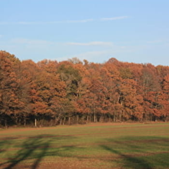 Entre la vigne et la Loire aux Girarmes - TRACY-SUR-LOIRE