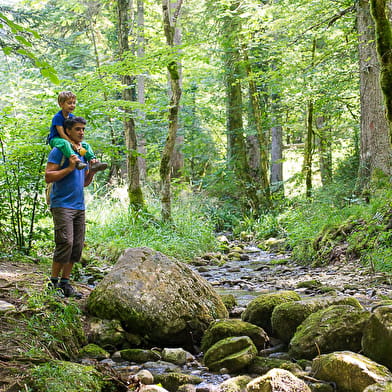 Balade - La Sarsouille