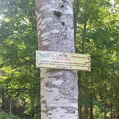 Sur le sentier des Arts : l'horoscope sylvestre