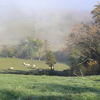 Circuit Fromage - JULLIE